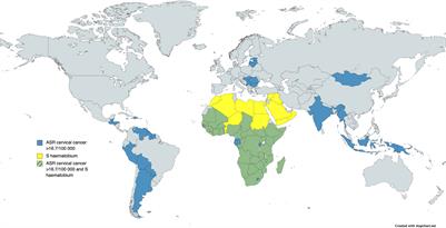 Case Report: Three cases of suspected female genital schistosomiasis and precancerous lesions for cervical cancer in a highly endemic country—from clinical management to public health implications